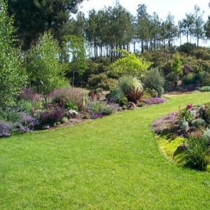 lawn mowing mandurah